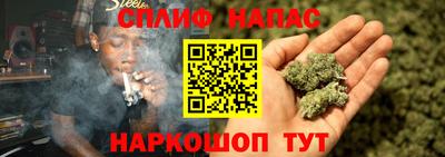 тгк Будённовск