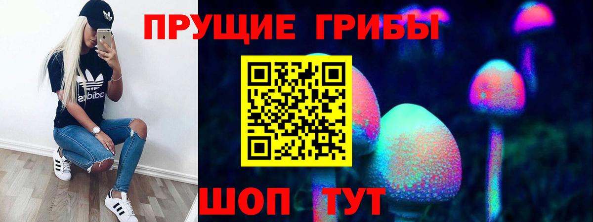 Кинешма  Псилоцибиновые грибы ЛСД  Галлюциногенные грибы Psilocybe  Вход с VPN 